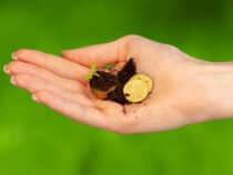 L’essor des fonds communs de placement éthiques et durables : une tendance incontournable en finance